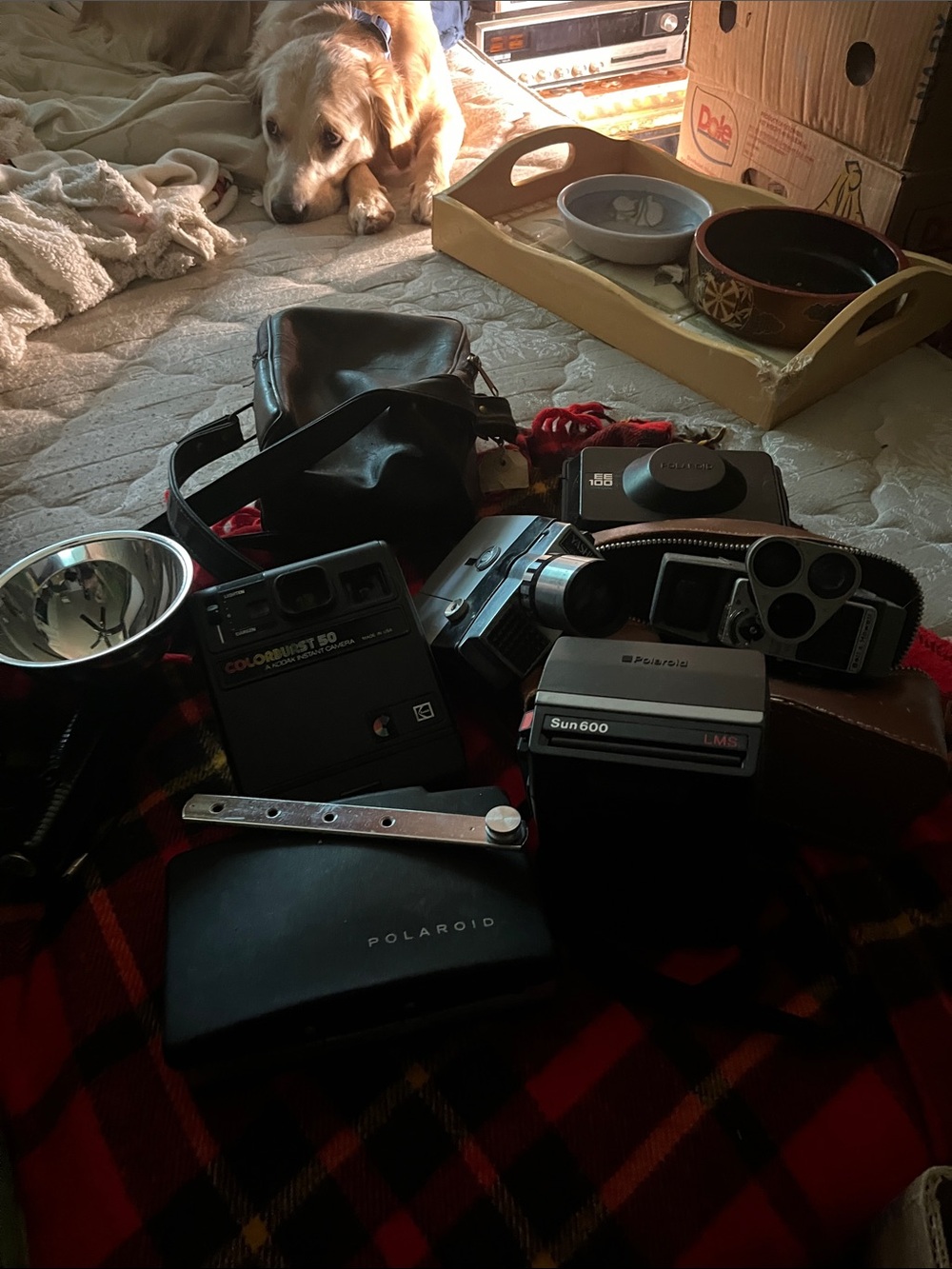 Polaroid Sun 600 LMS Instant Camera in Black other cameras  lot  (6) plus